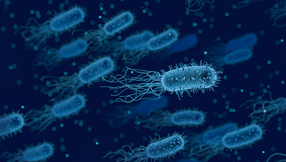 Chemiluminescence Technology Platform